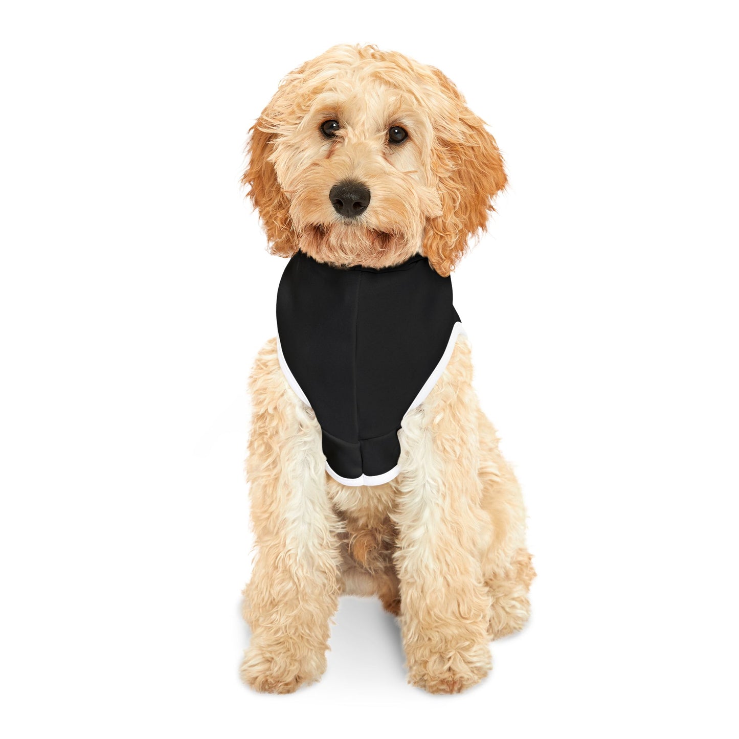 Partners in Crime Pet Hoodie Black