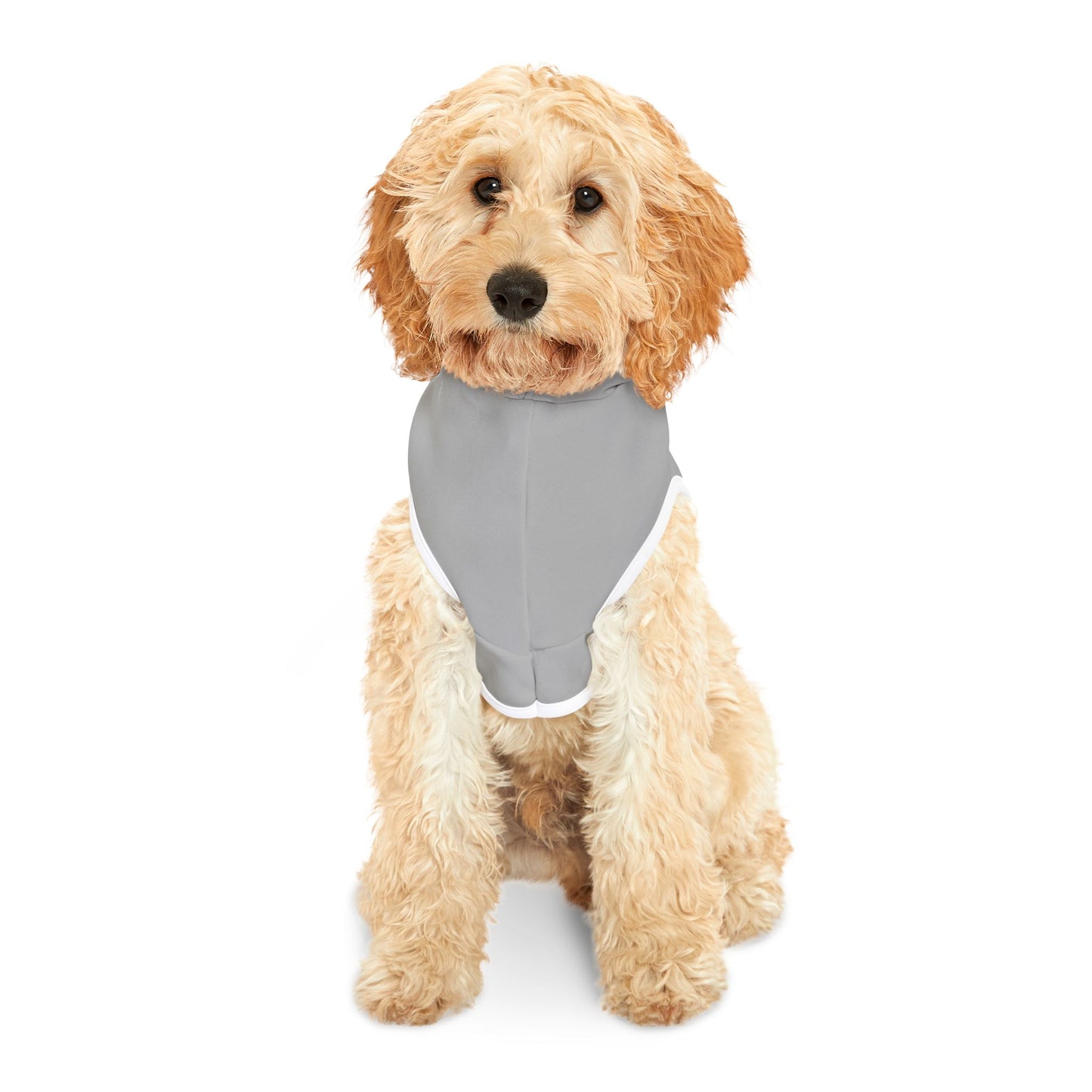 Partners in Crime Pet Hoodie Grey