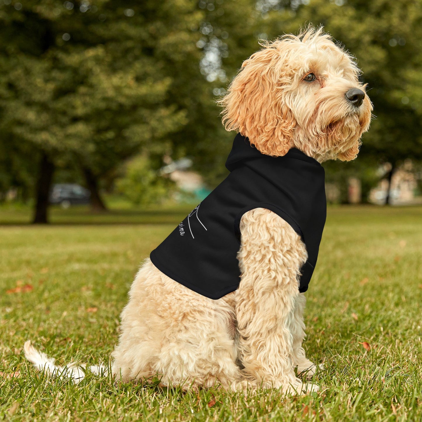 Partners in Crime Pet Hoodie Black