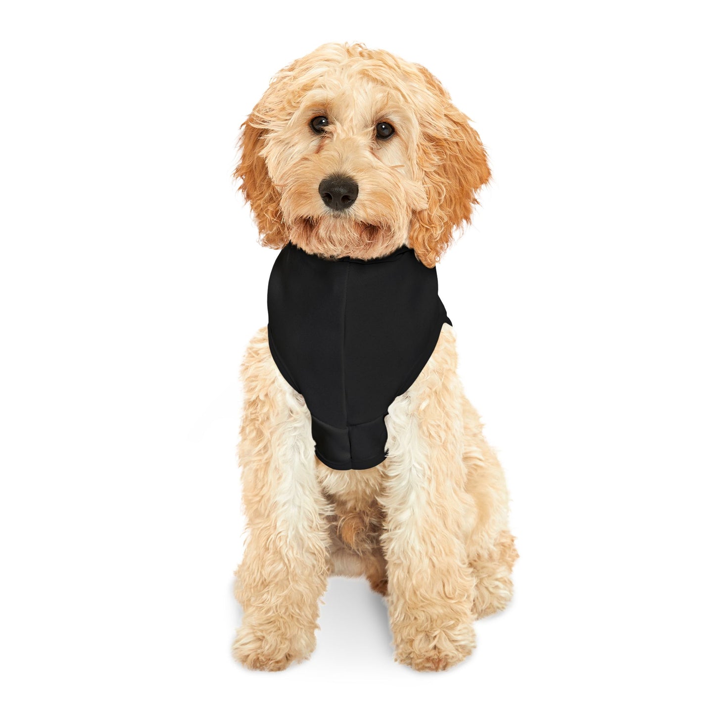 Partners in Crime Pet Hoodie Black