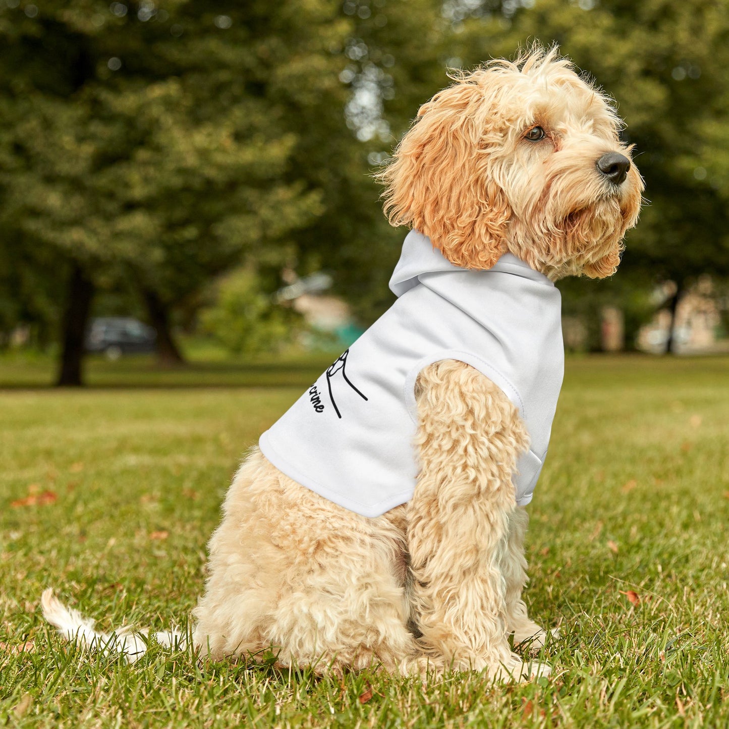 Partners in Crime Pet Hoodie White